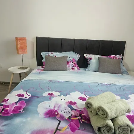 Apartament Cozy Tei *